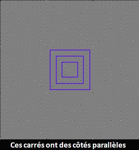 illusions optique