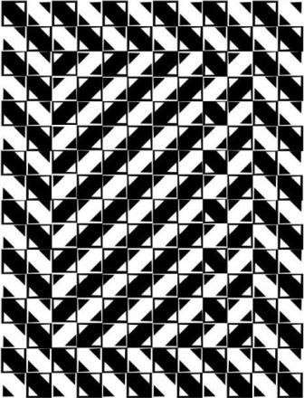 illusions optique