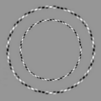 illusions optique
