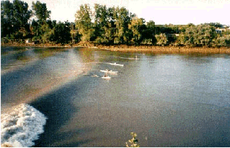 Surf sur le Mascaret