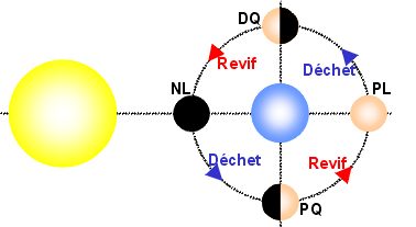 Phases de la Lune