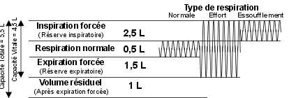 Soufflet Pulmonaire