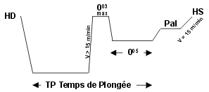 Profil de la plongée